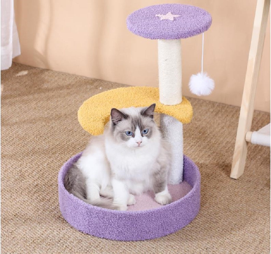 Toys for cats interactive toys that will keep your cat entertained and healthy