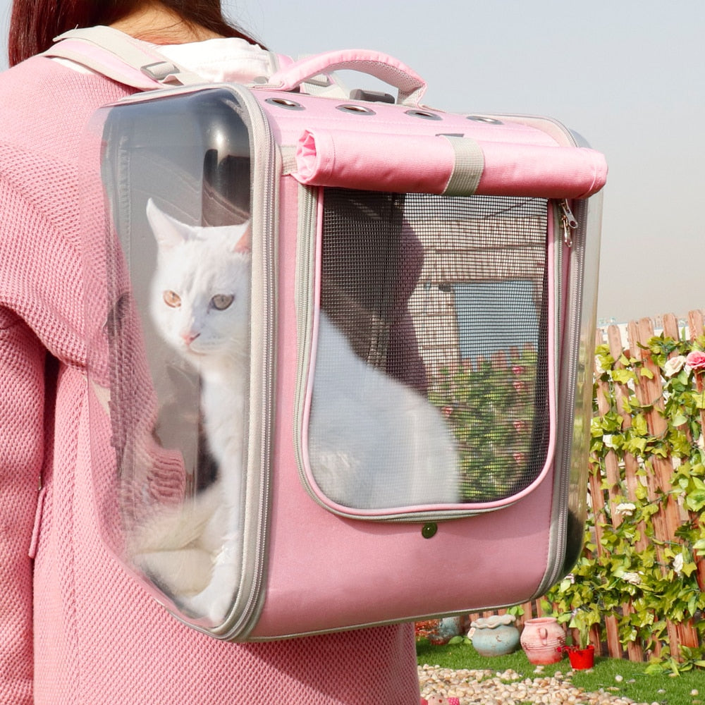 Cat Carriers and Strollers