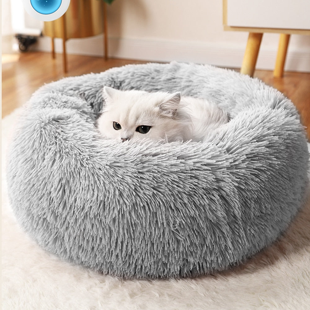 Shop our range of soft and cuddly cat beds and cat enclosures