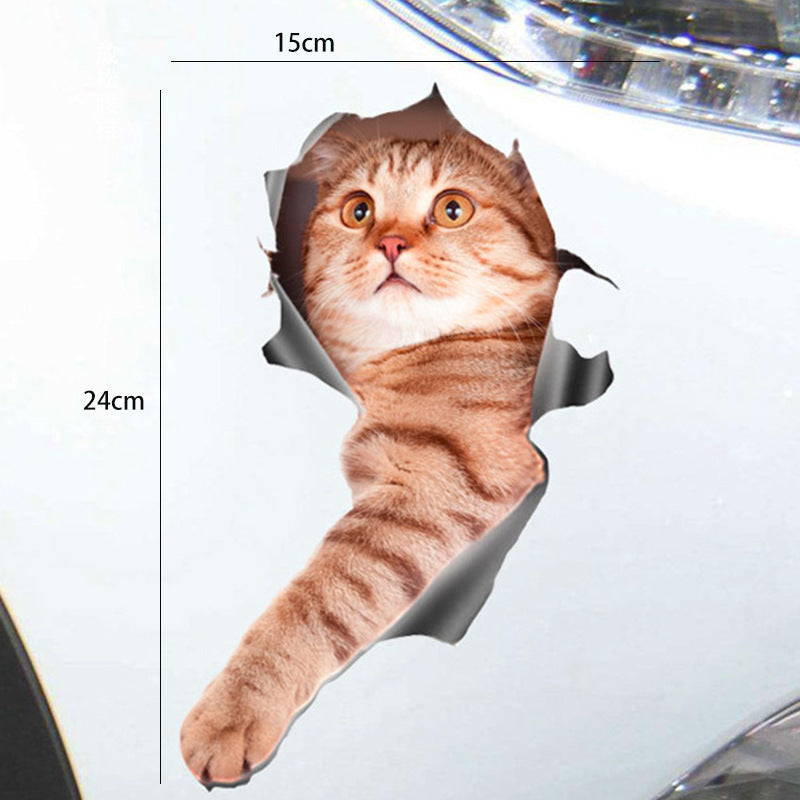 How cute is this 3-D realistic kitty "peeping tom cat" home decor wall or door sticker