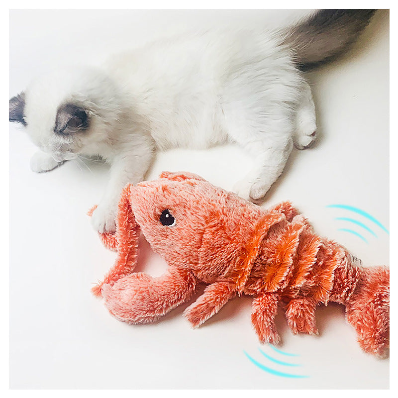 USB charging model lobster cat toy (or a small small dog teething toy). Plastic base. Cats love the erratic movement of this toy - it looks very realistic.