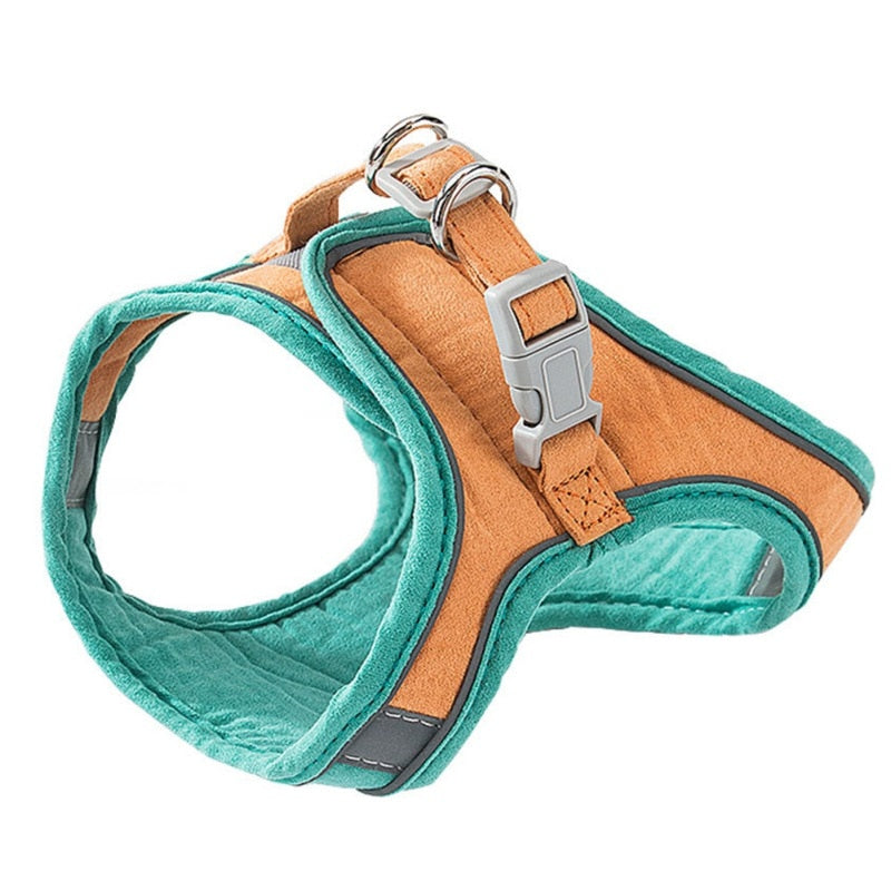 Orange colour option of the cat harness is shown