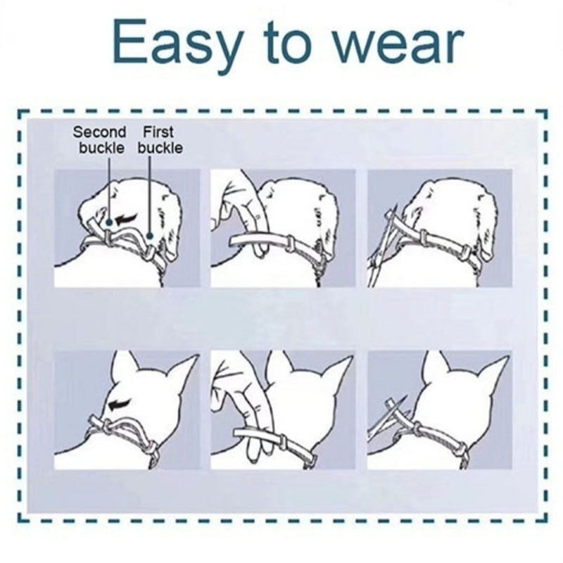 Seresto is a unique flea and tick collar for cats and dogs. The innovative collar is probably the longest lasting protection against fleas and ticks. This formula treats and prevents flea infestations for up to 8 months. Plus, it repels and controls paralysis ticks for 8 months.