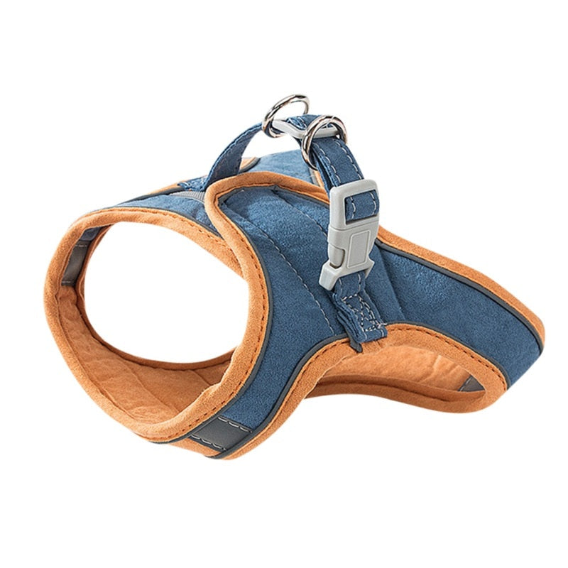 Blue colour option of the cat harness is shown