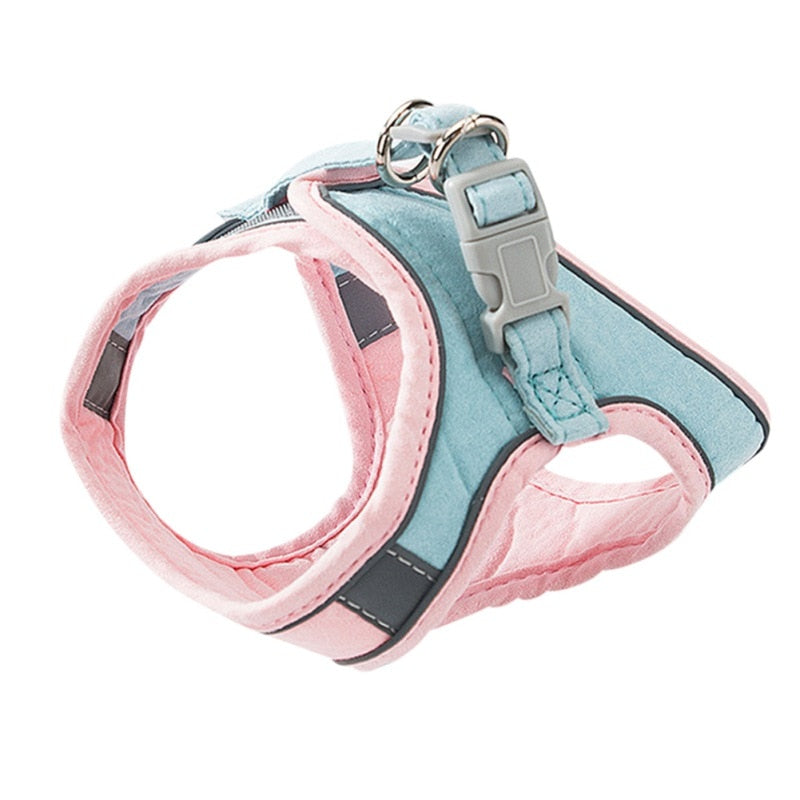 Pink colour option of the cat harness is shown