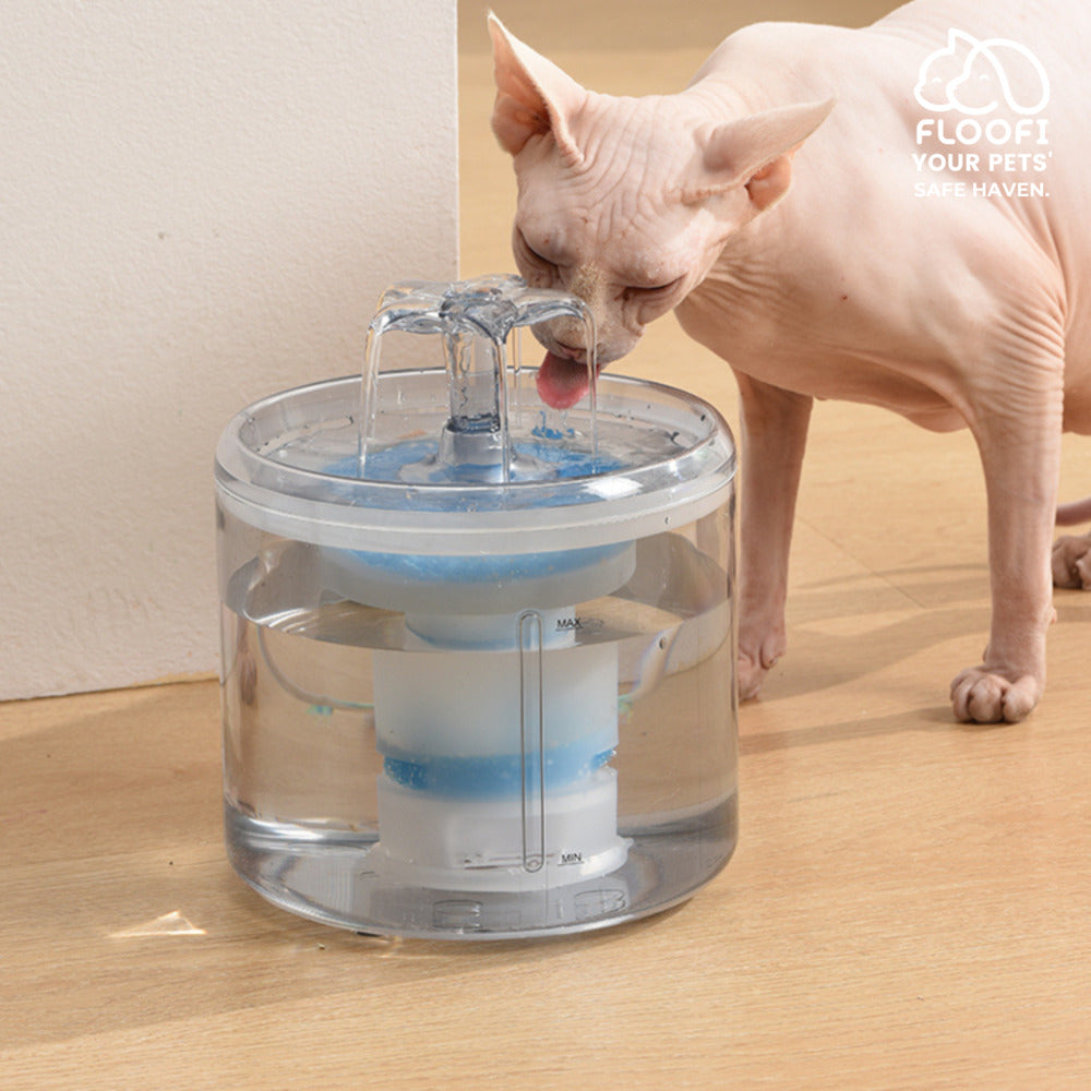 Floofi Pet Water Fountain 2.6L Filter 6Pcs Per Pack FI-WD-110-ZM - siamese sphinx cat is drinking from the water fountain and loving it